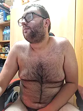 Javier_bear webcam