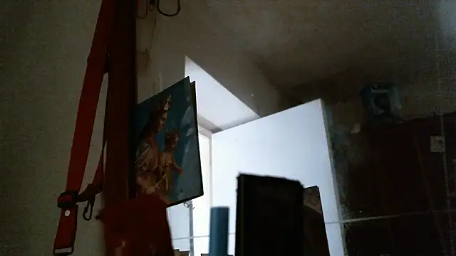 bravo23toro webcam