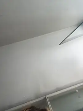 Anita_vegaa_ webcam