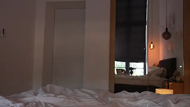 ibiddi webcam