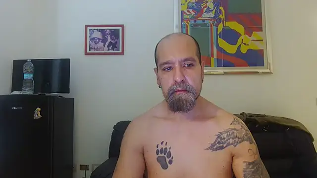 AMIRDIB2025 webcam