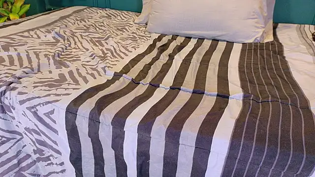 ale_cam webcam
