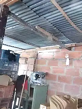 hoteder live cam