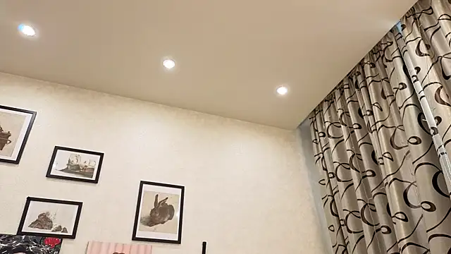 dolly_ll webcam