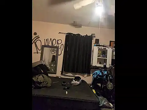 Cnutt310 webcam
