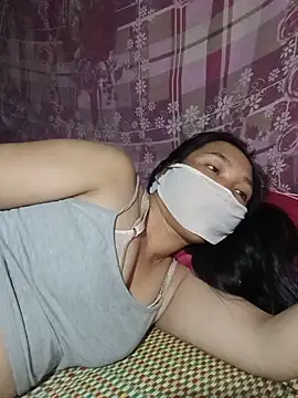 Hiha-nn webcam