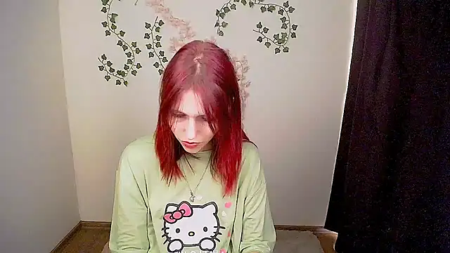 GuessMe___ webcam