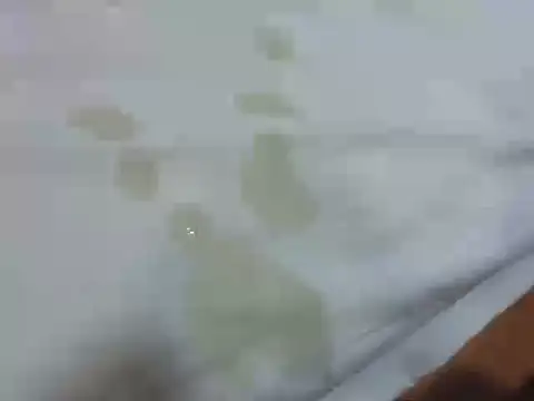 jackbigcock11 webcam