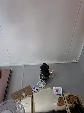 BigDorset8360 webcam