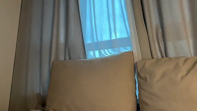 Meowmacito webcam