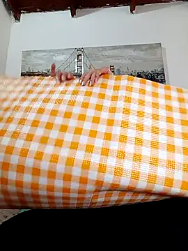 SaloGray8 webcam