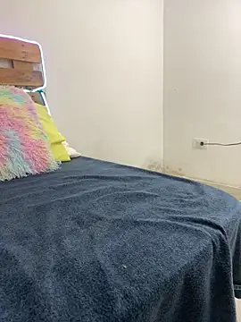 Lia-1212 webcam