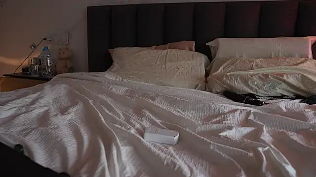 ibiddi live webcam show