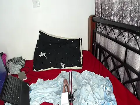 Whimsicalwillow webcam