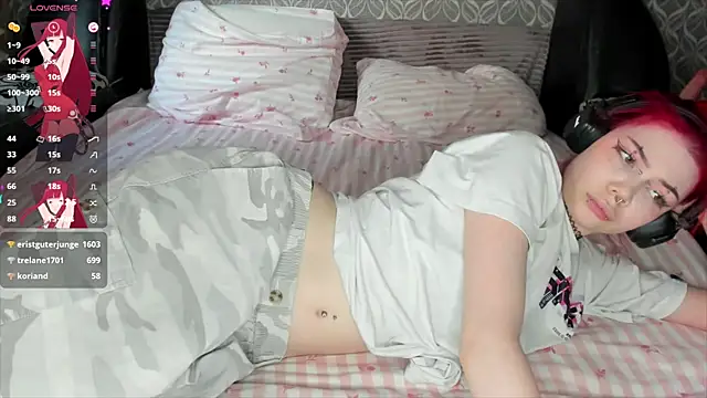 Veldenga webcam