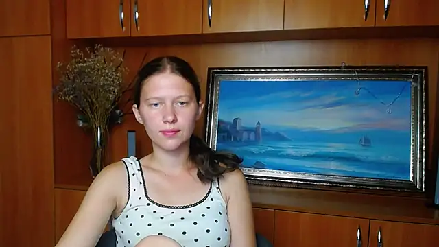 StellaCRL webcam