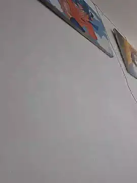 IrisBound webcam