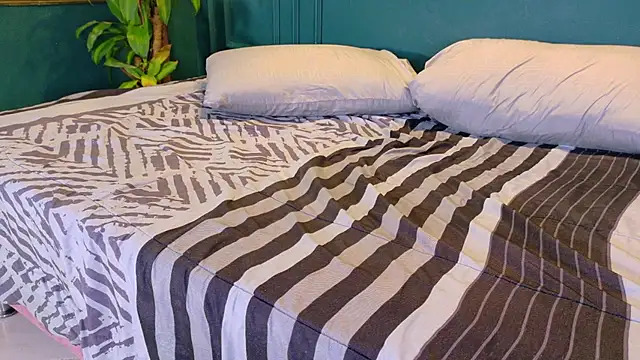 ale_cam webcam