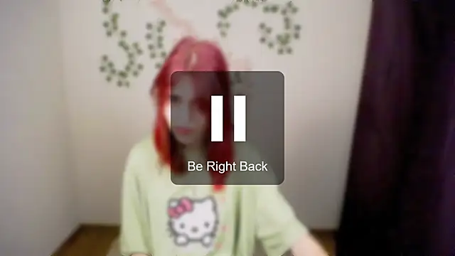 GuessMe___ webcam