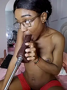 Liastarkk webcam
