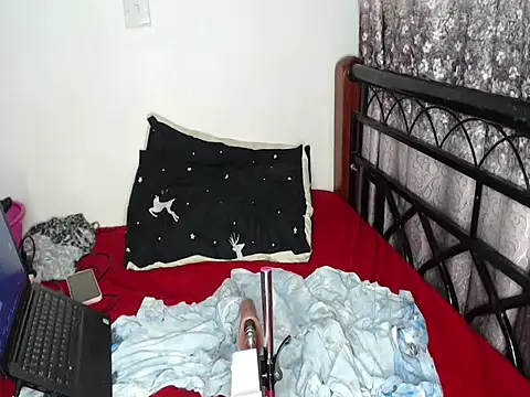 Whimsicalwillow webcam