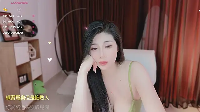 Vaidurya-Yolo webcam