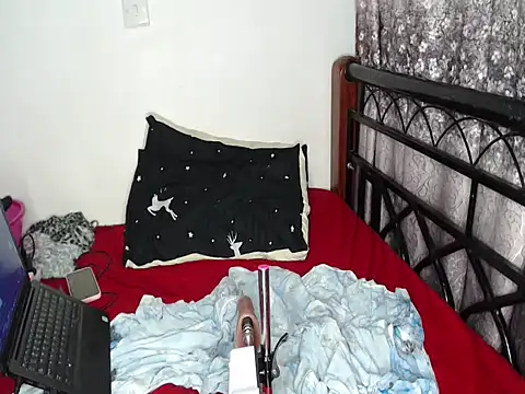 Whimsicalwillow webcam