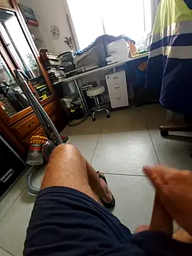 hpp66 webcam