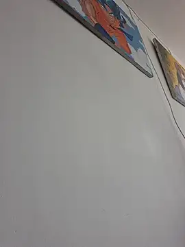 IrisBound webcam