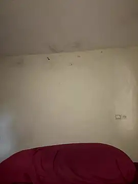 arabayla webcam