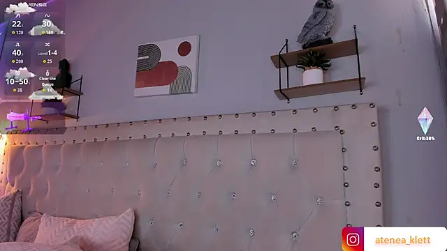 Atenea_Klett_ webcam