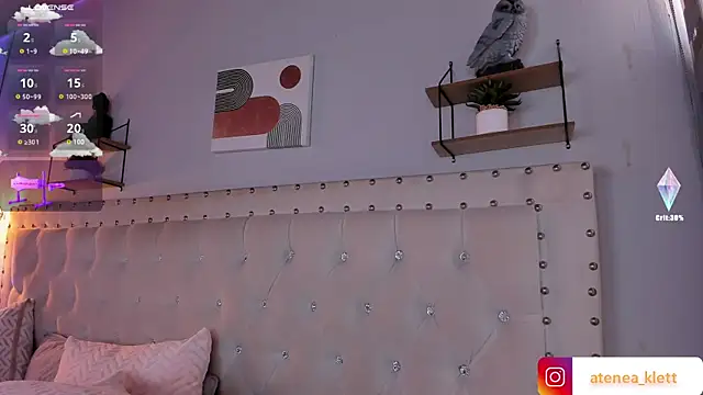 Atenea_Klett_ webcam