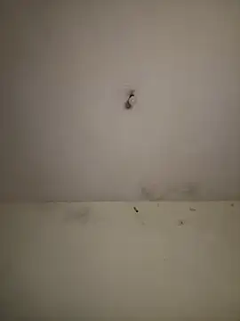 arabayla live cam