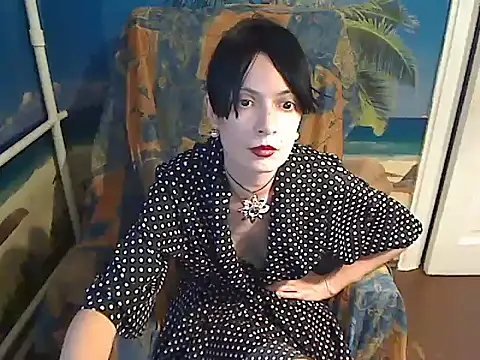 Bastet12 webcam