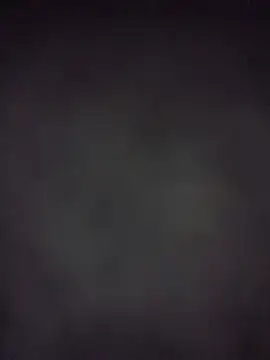 Roddog18