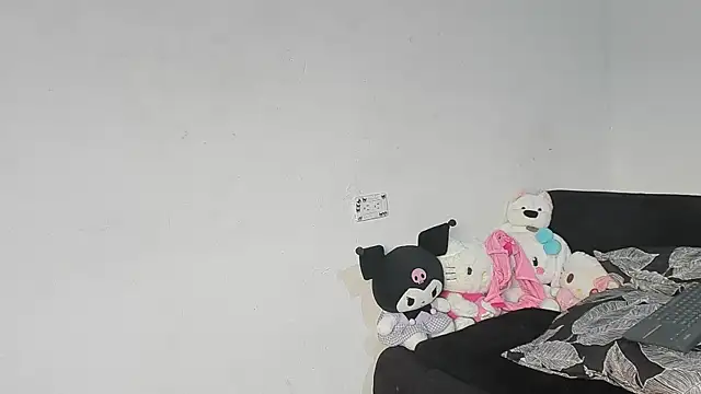 Eirlysx webcam