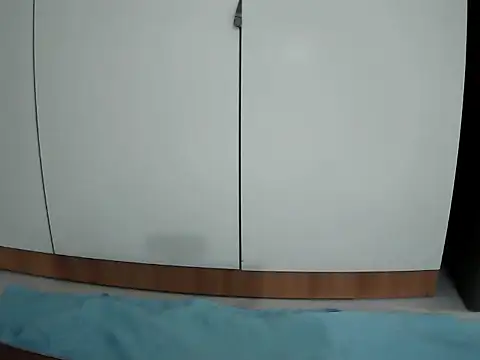 Ana_2023 webcam