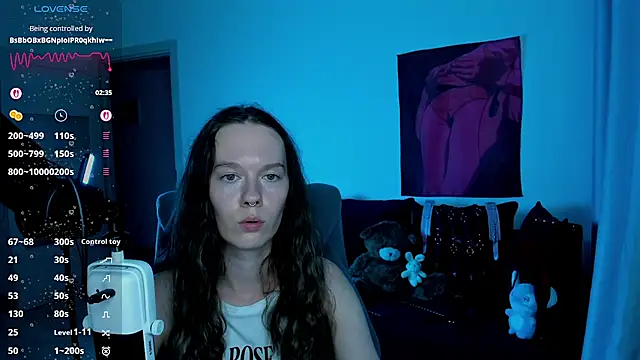 Vulgar_Tamer