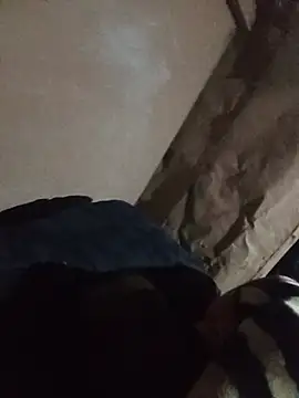 paptsimo webcam
