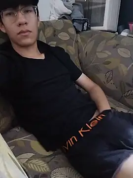 Lyan_lxc webcam