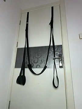 AIone_se webcam