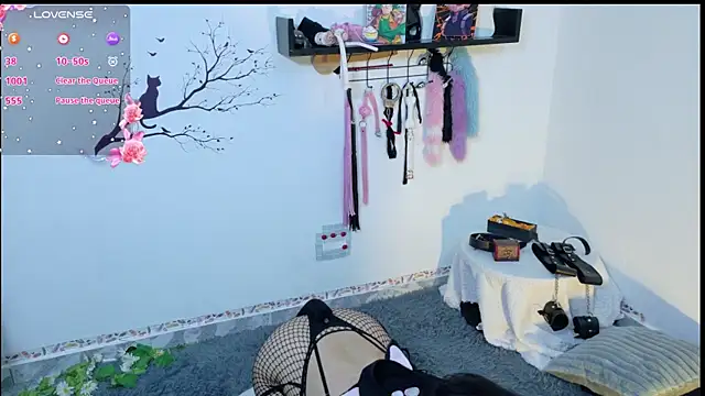 Meow_cat4 webcam
