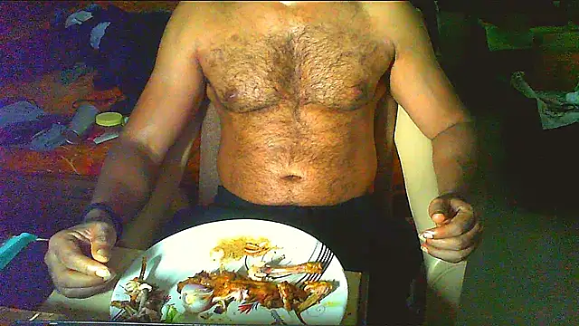 Vbestshow webcam