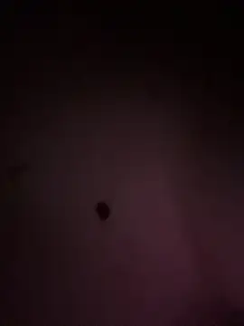 KaylaLewyss webcam
