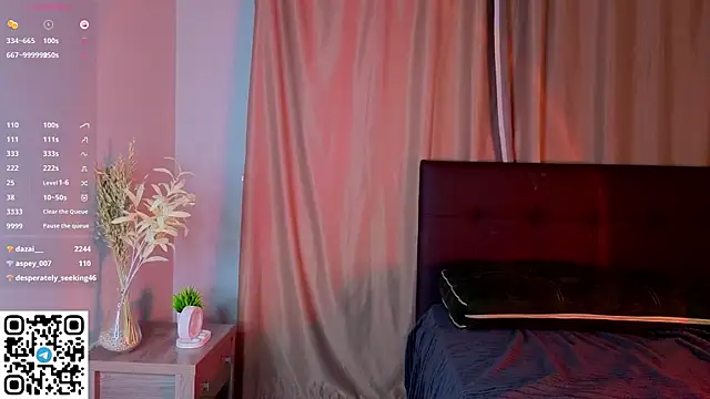 NerixalVire webcam
