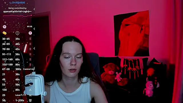Vulgar_Tamer webcam
