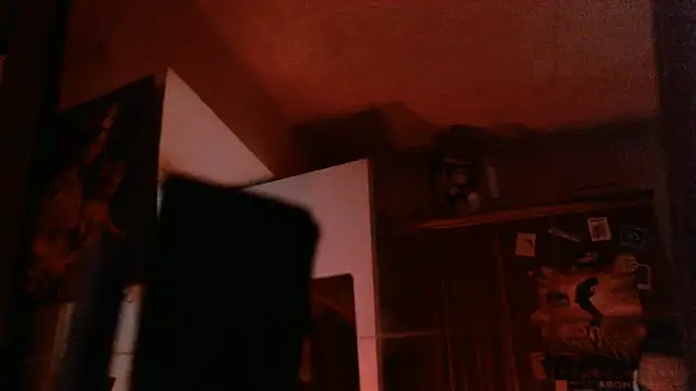 bravo23toro webcam