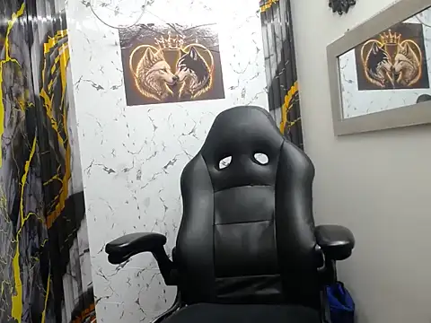 isa_x18 webcam