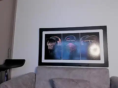 Maxcarrther webcam