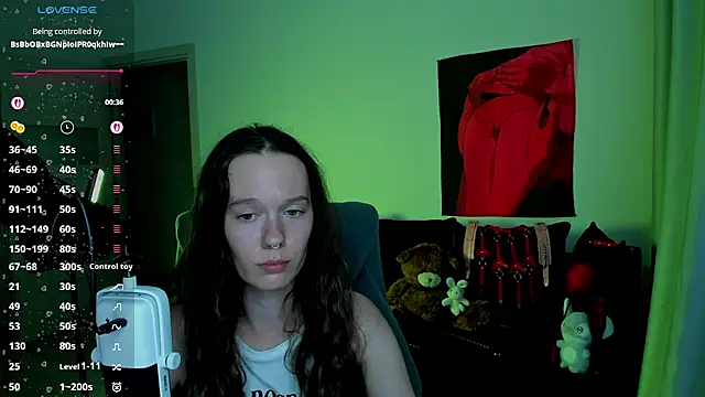 Vulgar_Tamer webcam